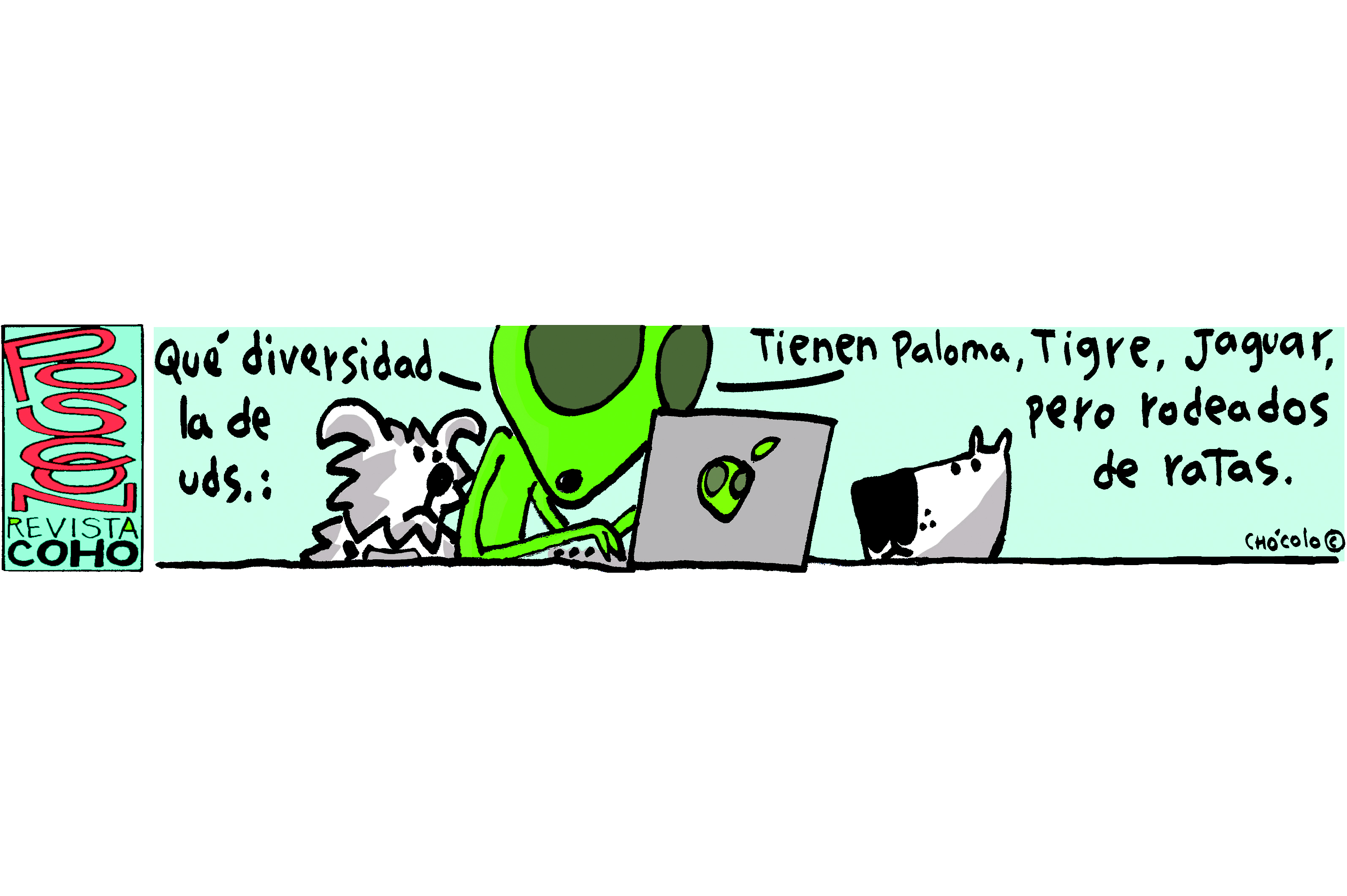 Chócolo