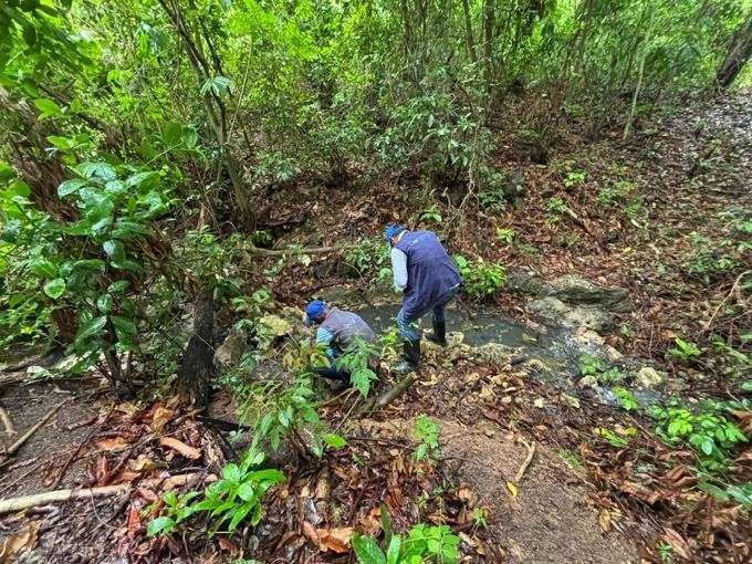 Funcionarios de Coralina tomando muestras del agua del arroyo Mrs. Mays durante 2024. Los resultados arrojaron varios indicios de contaminación.