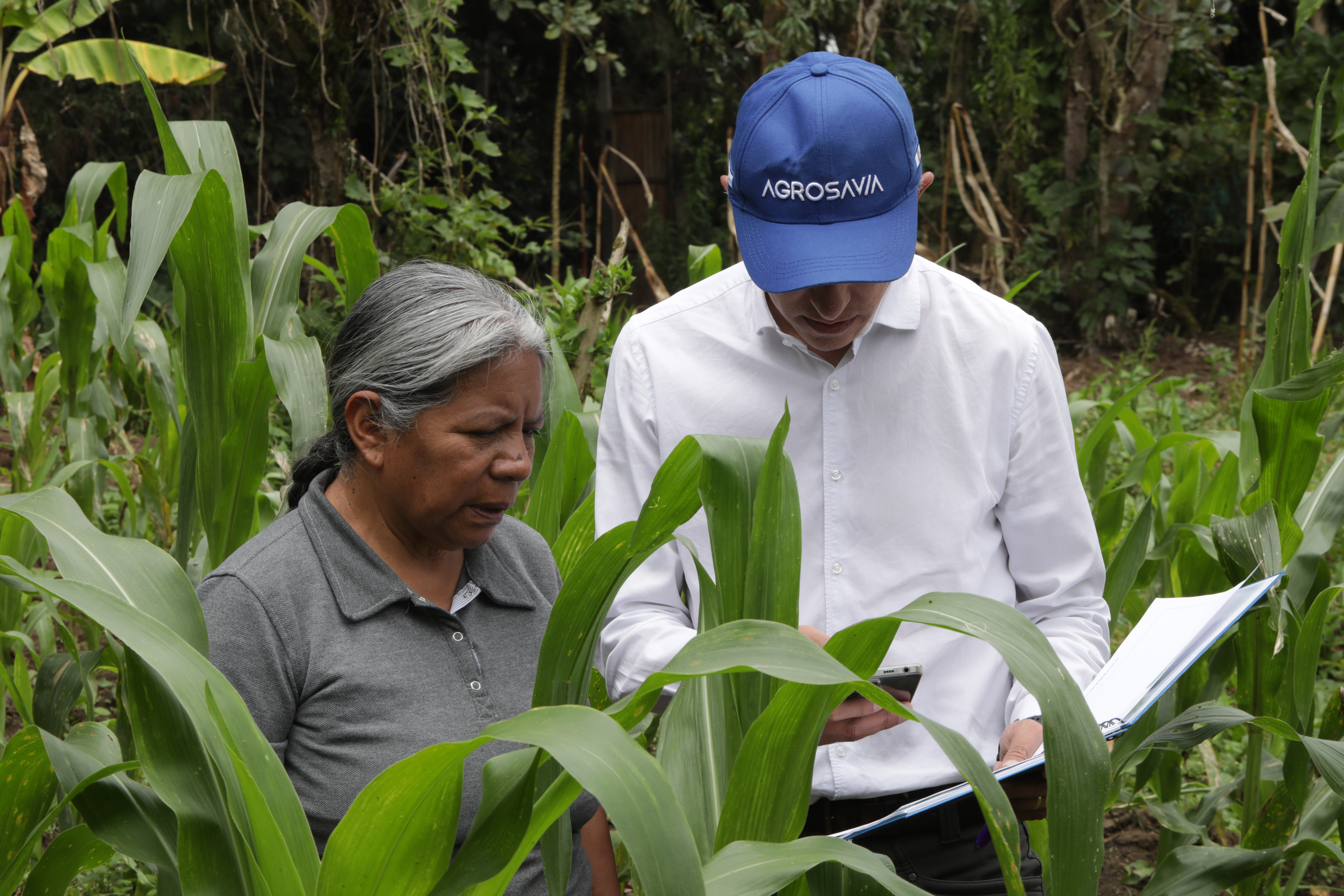 Los retos que marcarán el futuro del agro en el próximo cuatrienio.