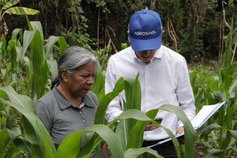 Los retos que marcarán el futuro del agro en el próximo cuatrienio