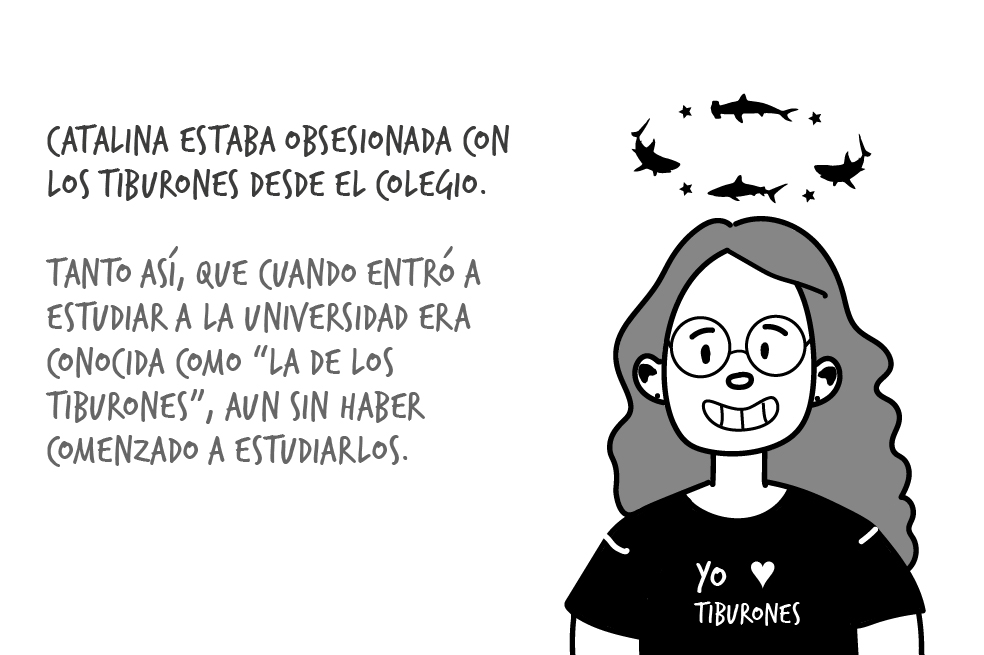 Catalina pimiento megalodón