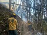 CAR y Defensa Civil se preparan para afrontar incendios forestales