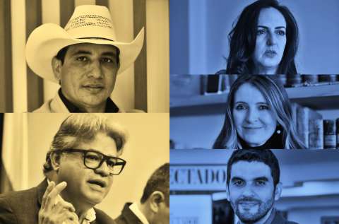 Estos son los casos con los que el debate legislativo saltó del Congreso a los tribunales