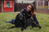 ¿Quiere adoptar un perro bombero? Daky y Fito buscan hogar