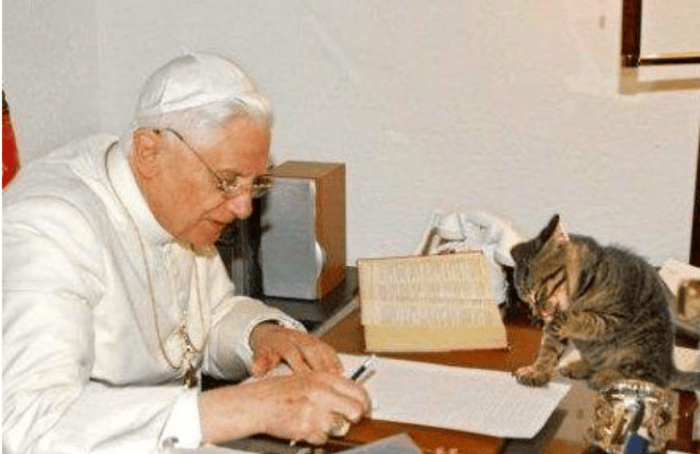 Algunos obispos que colaboraban con el Papa emérito aseguraban que podía hablar con los felinos.