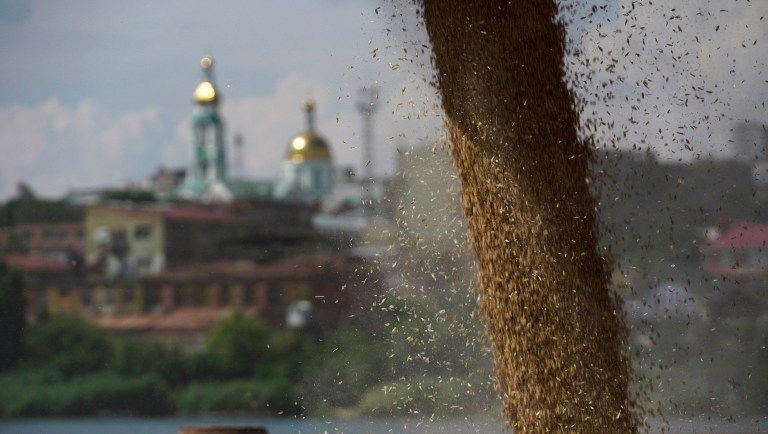 Cae el precio de los cereales tras seis meses de guerra entre Rusia y Ucrania