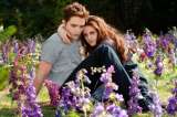 Reconciliación entre Stewart y Pattinson afecta a "Crepúsculo"