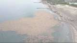 Impresionante isla de basura contamina las playas de Puerto Colombia, Atlántico