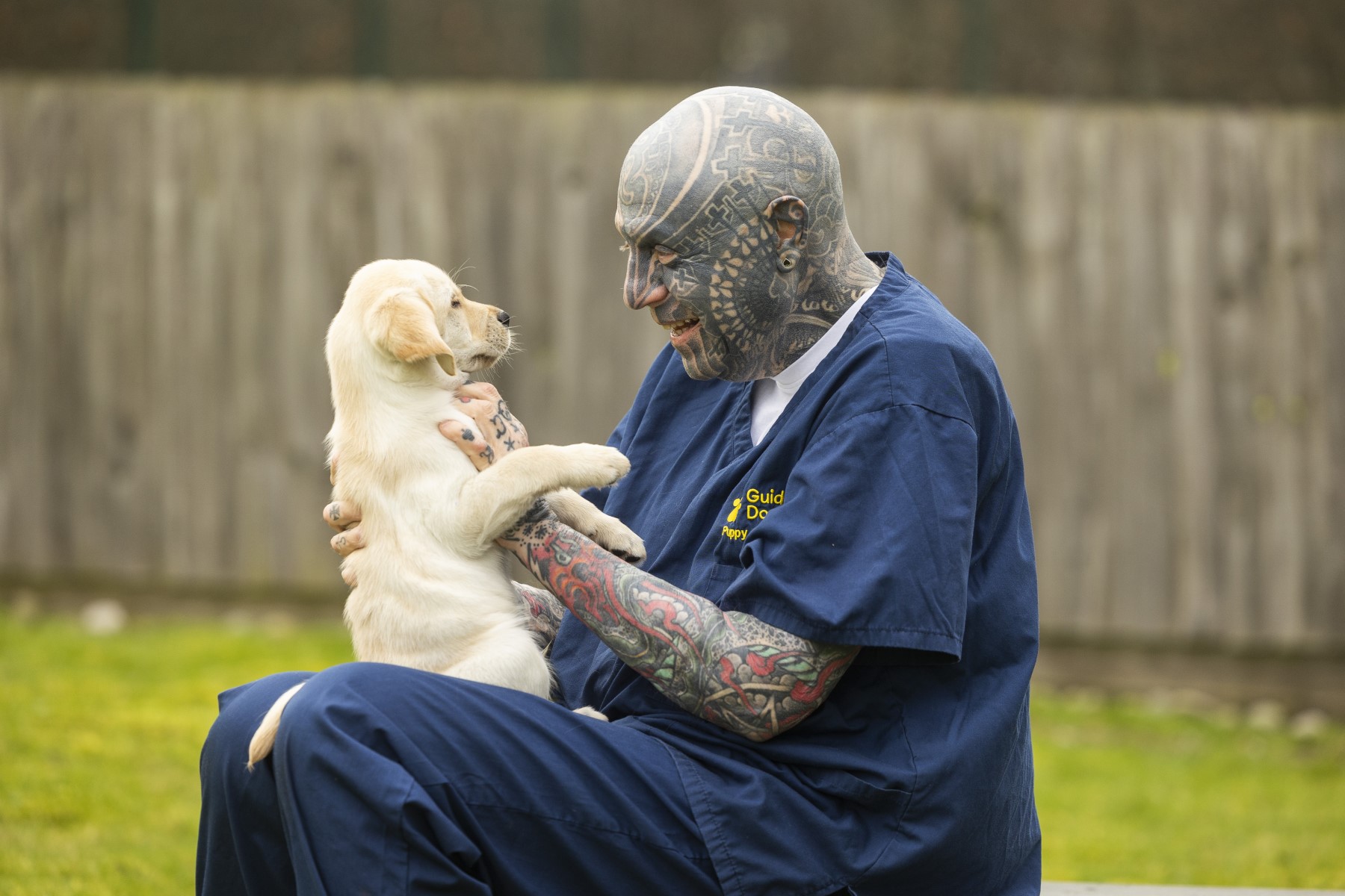 Buscan personas con perforaciones y tatuajes faciales que quieran entrenar a perros guía.