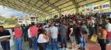 Más de mil indígenas huyen de sus territorios en Nariño por enfrentamientos armados