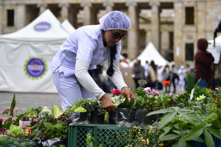 Mercados campesinos 20 años: sin intermediarios, se vende menos, pero se gana más