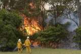Cerca de 48 horas completa incendio forestal en Tena, Cundinamarca
