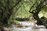 Pueblo Bello, Cesar: un viaje a la cultura ancestral y la belleza natural