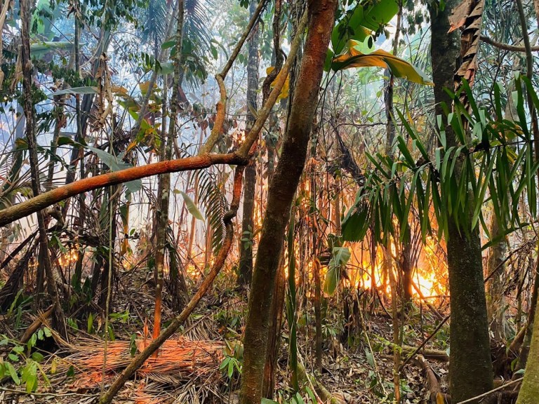 Incendio en la vereda Los Alpes, ubicada a 14 kilómetros al occidente del casco urbano del municipio de La Macarena.