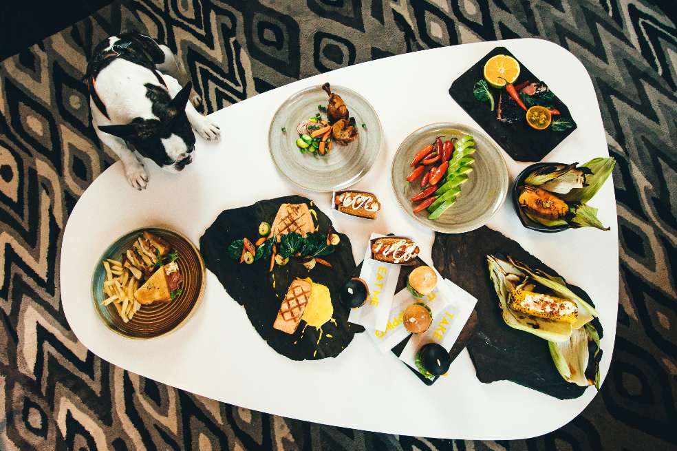 Para recargar energías y disfrutar de deliciosa comida no debe dejar a su mascota en casa. W Bogotá cuenta con el programa P.A.W (Pets Are Welcomed) con destacados beneficios para su amigo de cuatro patas.