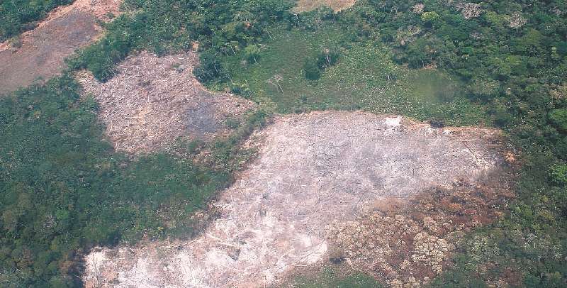 Los incendios en la Amazonia colombiana aumentaron 81 % en el último año, según el Instituto Nacional de Investigaciones Espaciales de Brasil. / Cortesía