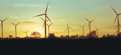 ¿Está enredado el camino de las energías renovables en Colombia?