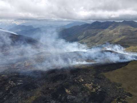 Colombia amanece con 31 incendios forestales activos. Gobierno declararía emergencia