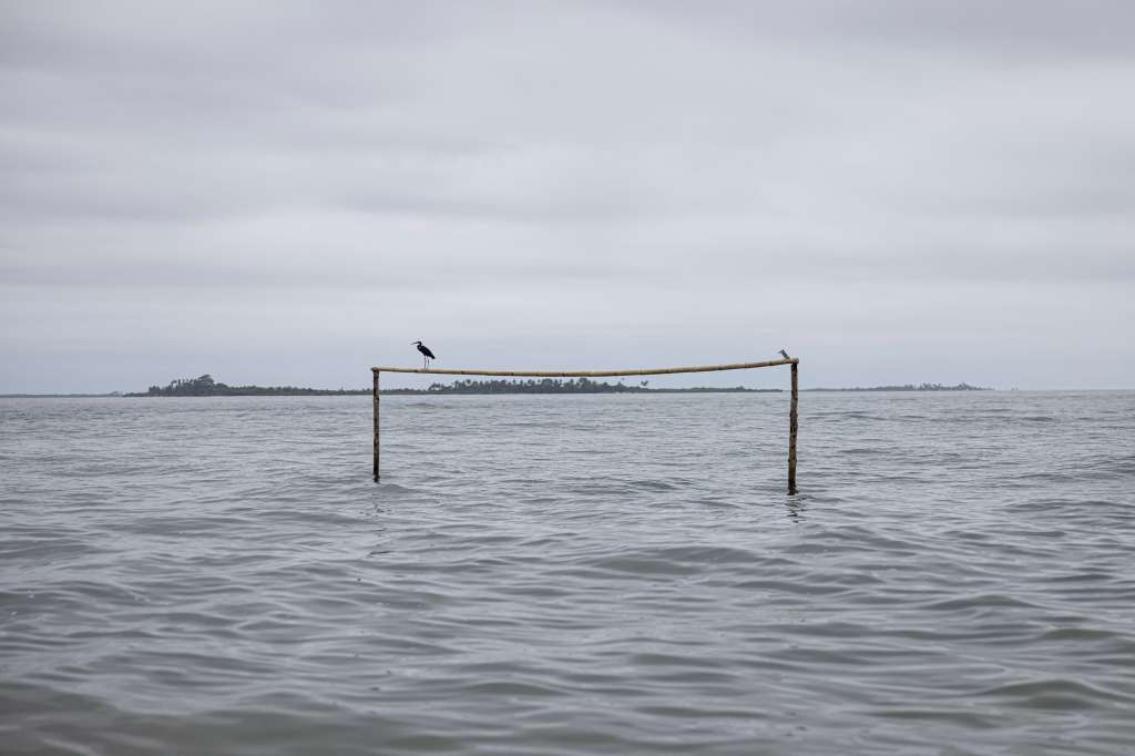 A bird stands of top of a goalpost during high tide in Nyangai Island, on April 30, 2025.