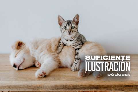 [Suficiente Ilustración] Cédula animal: un microchip para todas las mascotas del país