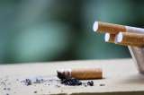 Las toxinas de las colillas de cigarrillo son un peligro mortal para el ambiente