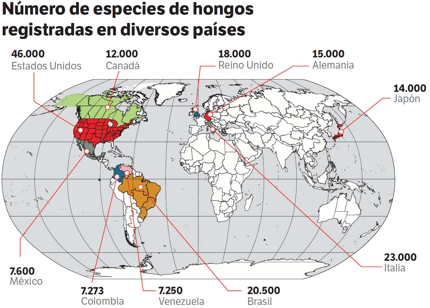 Hongos
