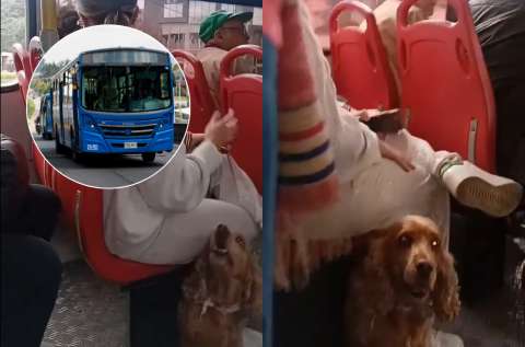 TransMilenio responde a video viral de mujer que viajaba con su perro en un bus