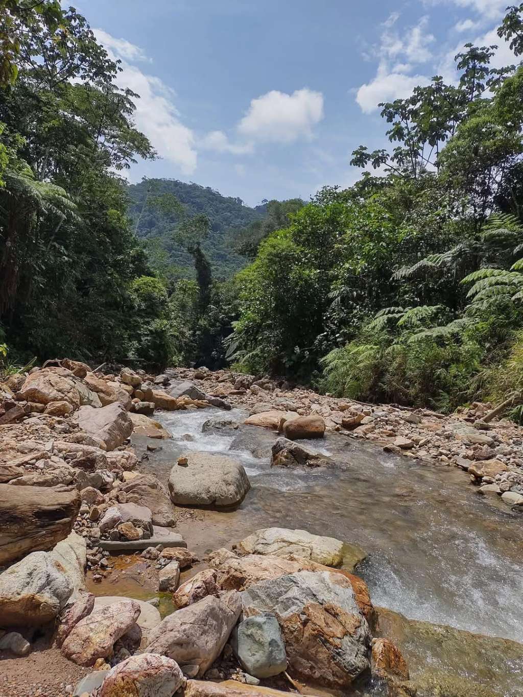 La autoridad ambiental asegura que este es un territorio con ecosistemas estratégicos que hay que proteger.