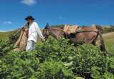 Los cuestionamientos a las cifras del Gobierno sobre la Reforma Rural