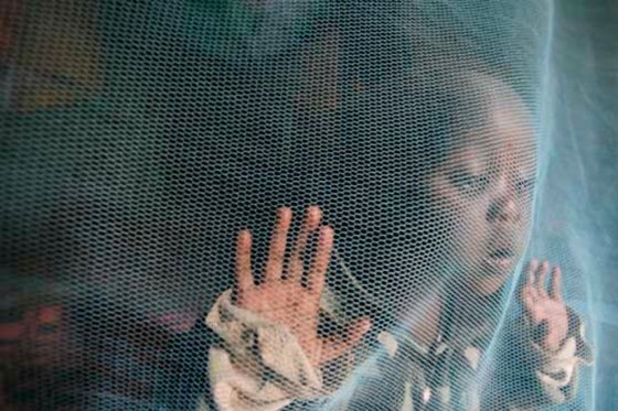 Solo en 2014, alrededor de 580.000 personas murieron a causa de la malaria en todo el mundo.