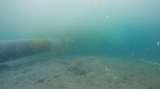 Preocupación en San Andrés por ruptura de tubería que lleva aguas residuales al mar