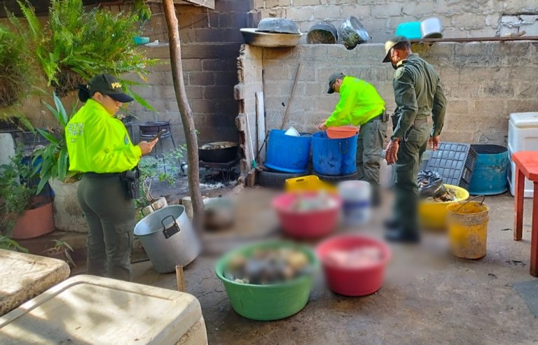 Judicializaron personas que estarían sacrificando tortugas para comercializarlas