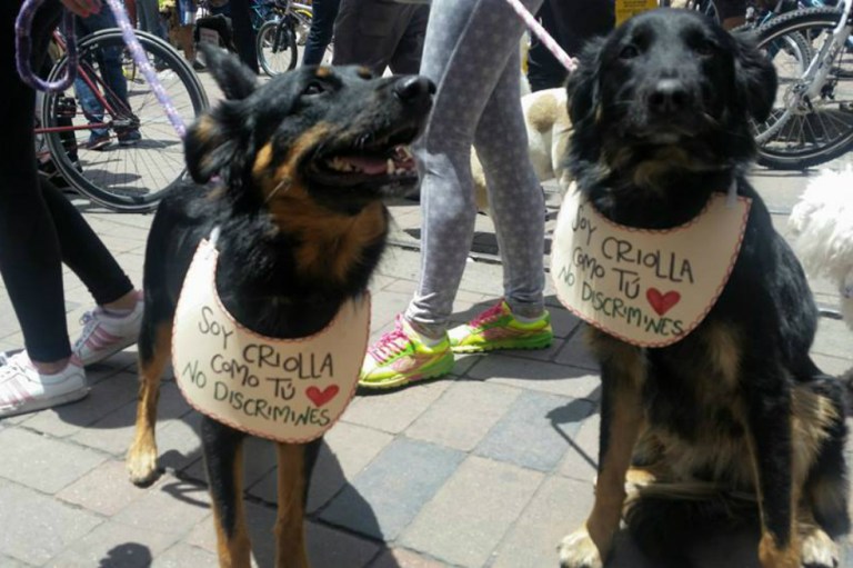 Jornada de movilización por la protección de los animales en Bogotá