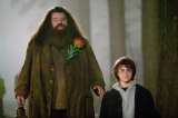 Llega a Bogotá el concierto sinfónico de “Harry Potter y el Cáliz de Fuego”