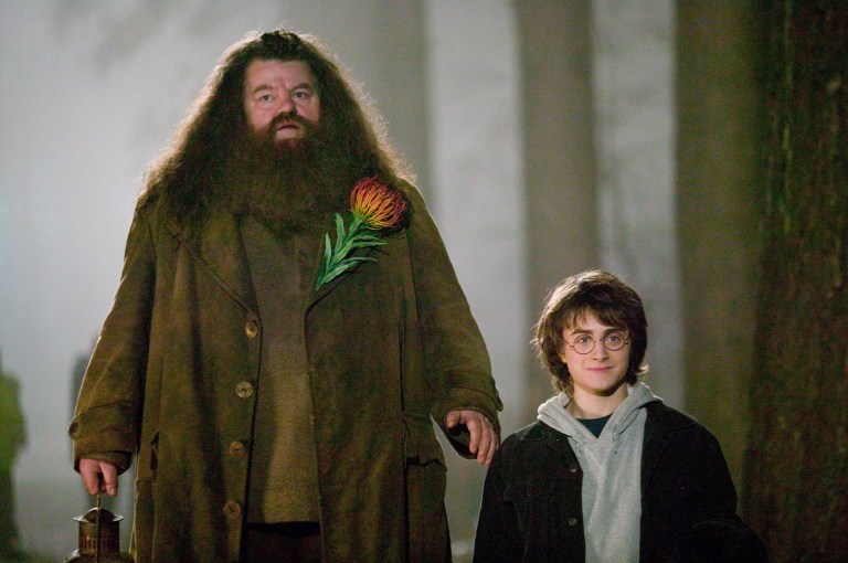 Llega a Bogotá el concierto sinfónico de “Harry Potter y el Cáliz de Fuego”