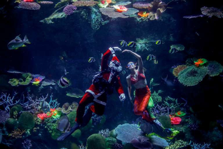 Bangkok (Thailand), 21/12/2022.- A diver dressed in Santa Claus costume and a diver dressed as a mermaid perform during a show to welcome the holiday season at Sea Life aquarium in Bangkok, Thailand, 21 December 2022. Divers at Sea Life aquarium dressed as Santa Claus and a mermaid performed for visitors during an annual special show held around Christmas, to wish happy holidays to visitors. (Tailandia) EFE/EPA/DIEGO AZUBEL