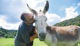 Fundación Santuario Animal Namigni: el edén de las especies animales en Colombia