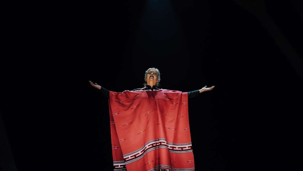 En este homenaje a Chavela se ponen en evidencia todas las aventuras y desventuras que tuvo que sortear para atender la cita definitiva con su destino: el concierto de su vida, en el Teatro Lope de Vega, en Sevilla (España), a sus 72 años.