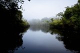 Se reducen especies agrícolas y pesqueras en el Amazonas