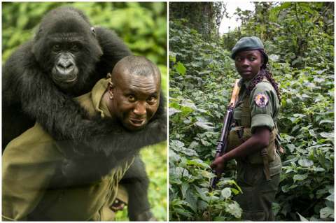 República del Congo oficializa proyecto para extraer petróleo en parques naturales