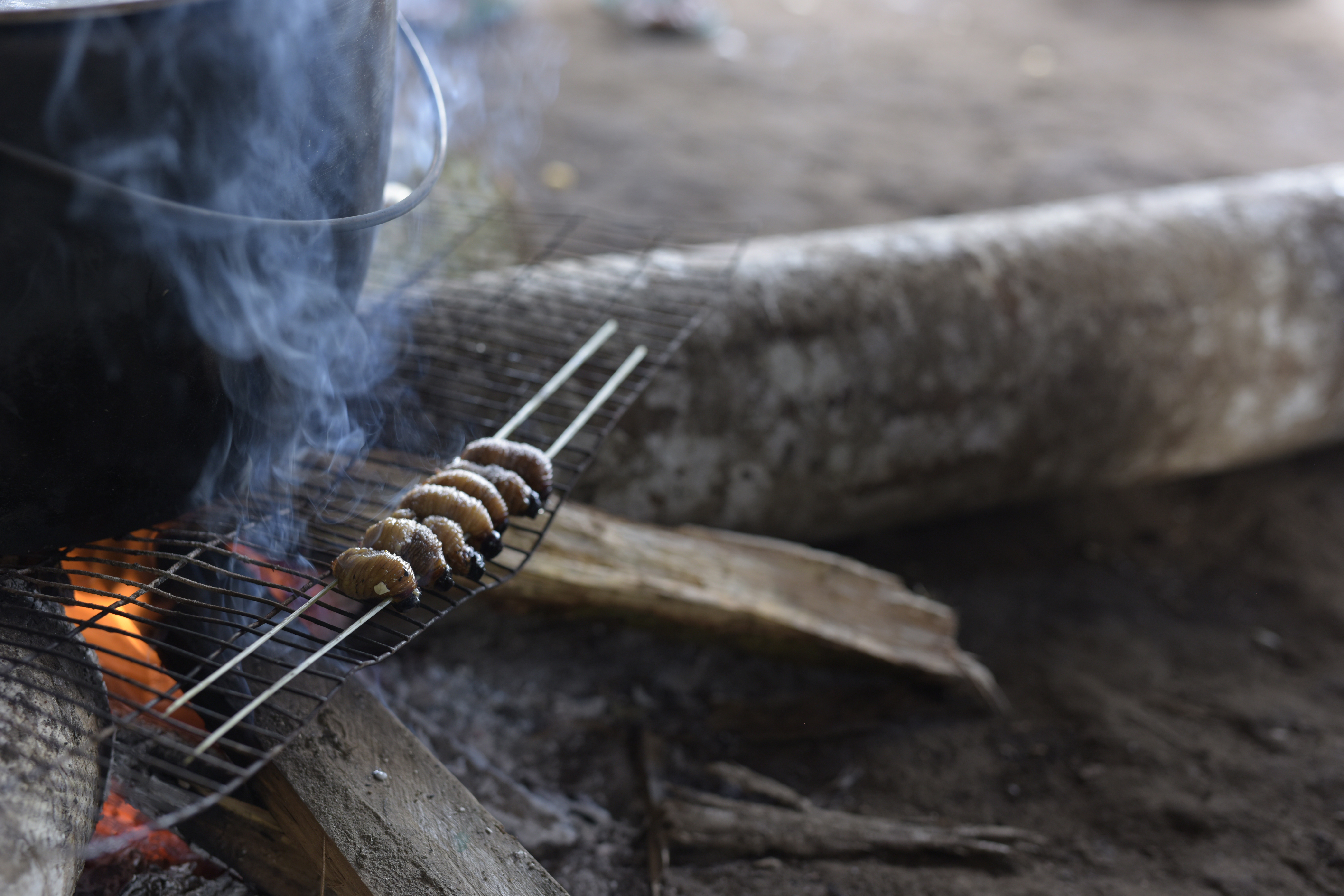 Alimento tradicional amazónico