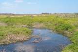 Camarones, Riohacha: sin agua potable y con un alcantarillado que causa daños ambientales