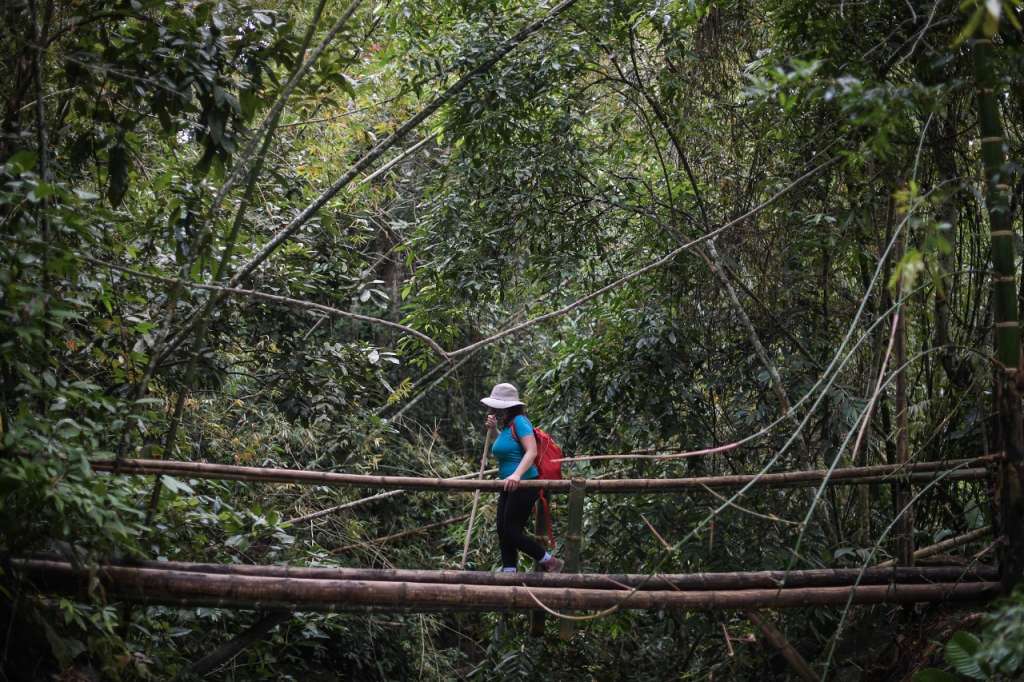 La Reserva Natural Ciudad Perdida de Falan es uno de los recomendados en su viaje por la Bogotá-Región. Es un lugar lleno de naturaleza, historia y aventura.