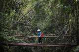 Tolima e Ibagué continúan consolidándose como destinos turísticos