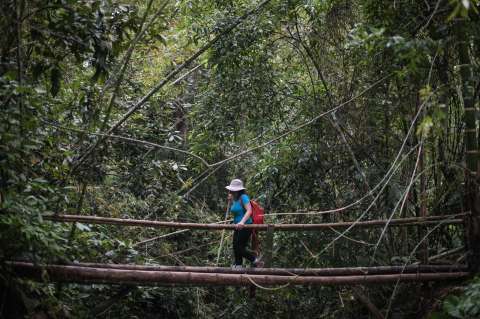 Tolima e Ibagué continúan consolidándose como destinos turísticos