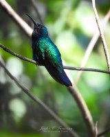 Turismo de naturaleza en la Ciénaga Grande de Santa Marta