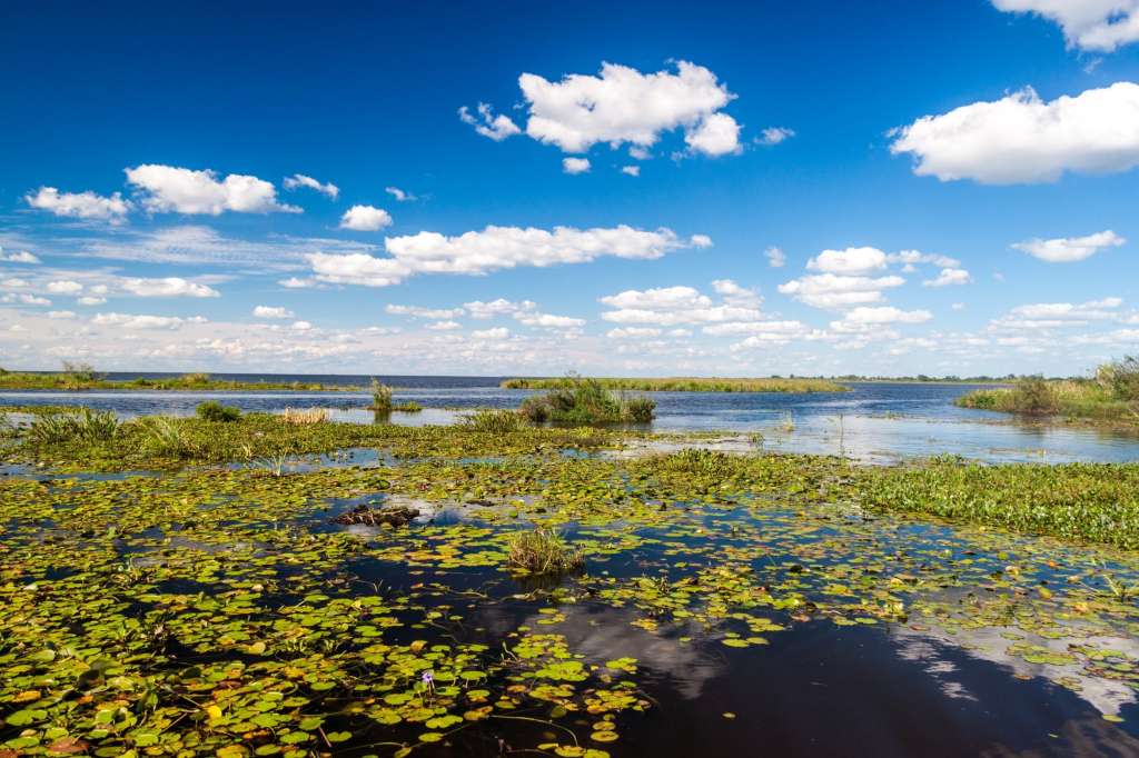 Los Esteros del Iberá son un paraíso natural que sorprende por la abundancia de su fauna y la belleza simple de su paisaje.