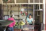 Ideas para cambiar la coca por comida en el Catatumbo