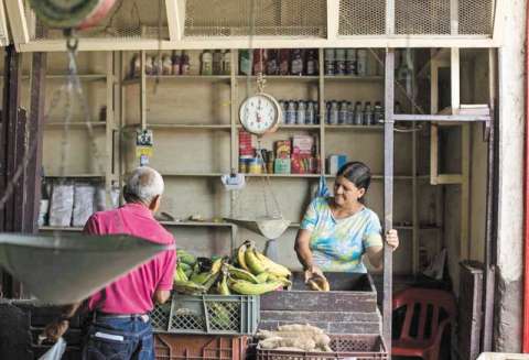 Ideas para cambiar la coca por comida en el Catatumbo