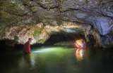 Esto encontró el estudio con ADN ambiental en cuevas más grande que se ha hecho en Colombia